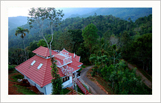 Birds Valley Resort, Munnar, Kerala, India