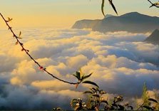 Munnar-Top-Station