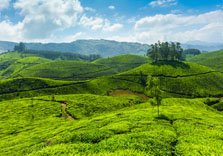 Munnar