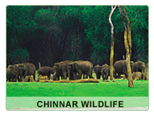 Chinnar Wild life, Munnar