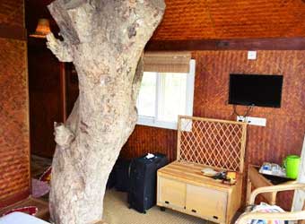 Kaivalyam Retreat Tree House luggage