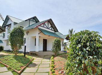 The Leaf Munnar Resorts and Hotels-Bed-Room