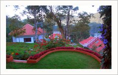 Birds Valley Resort, Munnar, Kerala, India