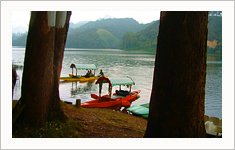 Birds Valley Resort, Munnar, Kerala, India
