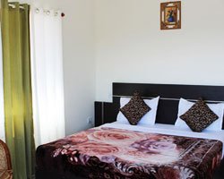 Green Trees - Munnar