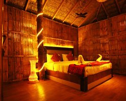 Green Trees - Munnar