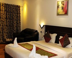 Green Trees - Munnar