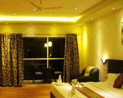 Green Trees - Munnar