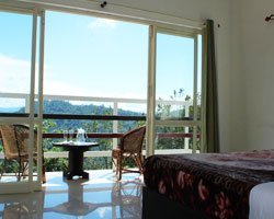 Green Trees - Munnar