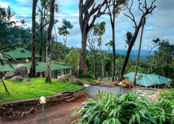 Neelakurinji Plantation Bungalow-Dining