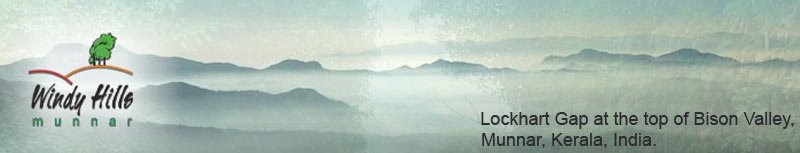 Windy Hills - Title