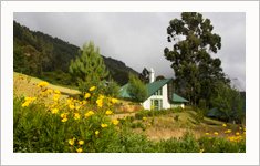 Camp Noel Munnar, Kerala, India