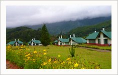 Camp Noel Munnar, Kerala, India