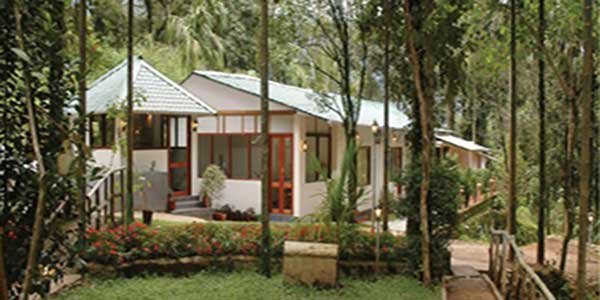 Glenmore Resort Munnar