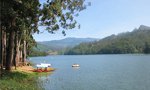 Go trout fishing amidst tea estates Munnar