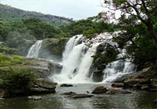 nyayamakad waterfalls in munnar