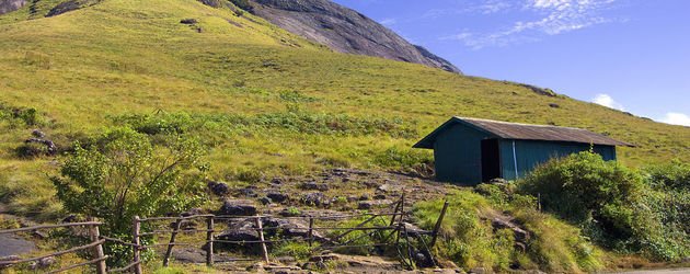 eravikulam national park