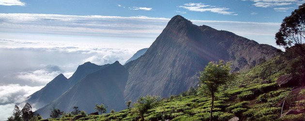 Kolukkumalai in munnar