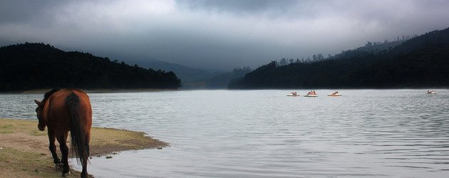 mattupetty dam in munnar