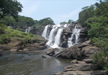 thoovanam waterfalls in munnar