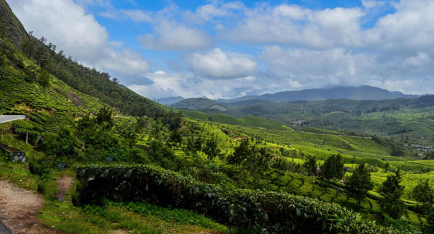 Kolukkumalai- World Highest Elevation Tea Plantation 