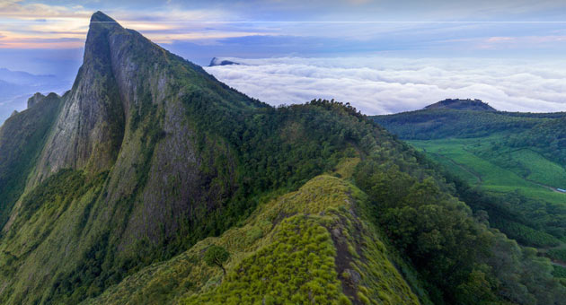 Kolukkumalai- World Highest Elevation Tea Plantation 