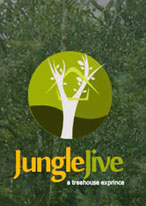 Jungle Jive Tree House 