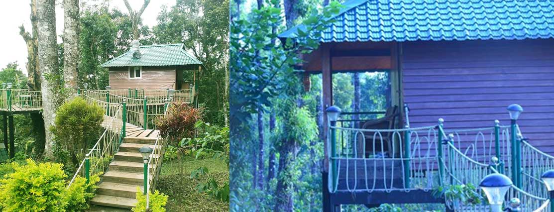 Kaivalyam Retreat Tree House - 